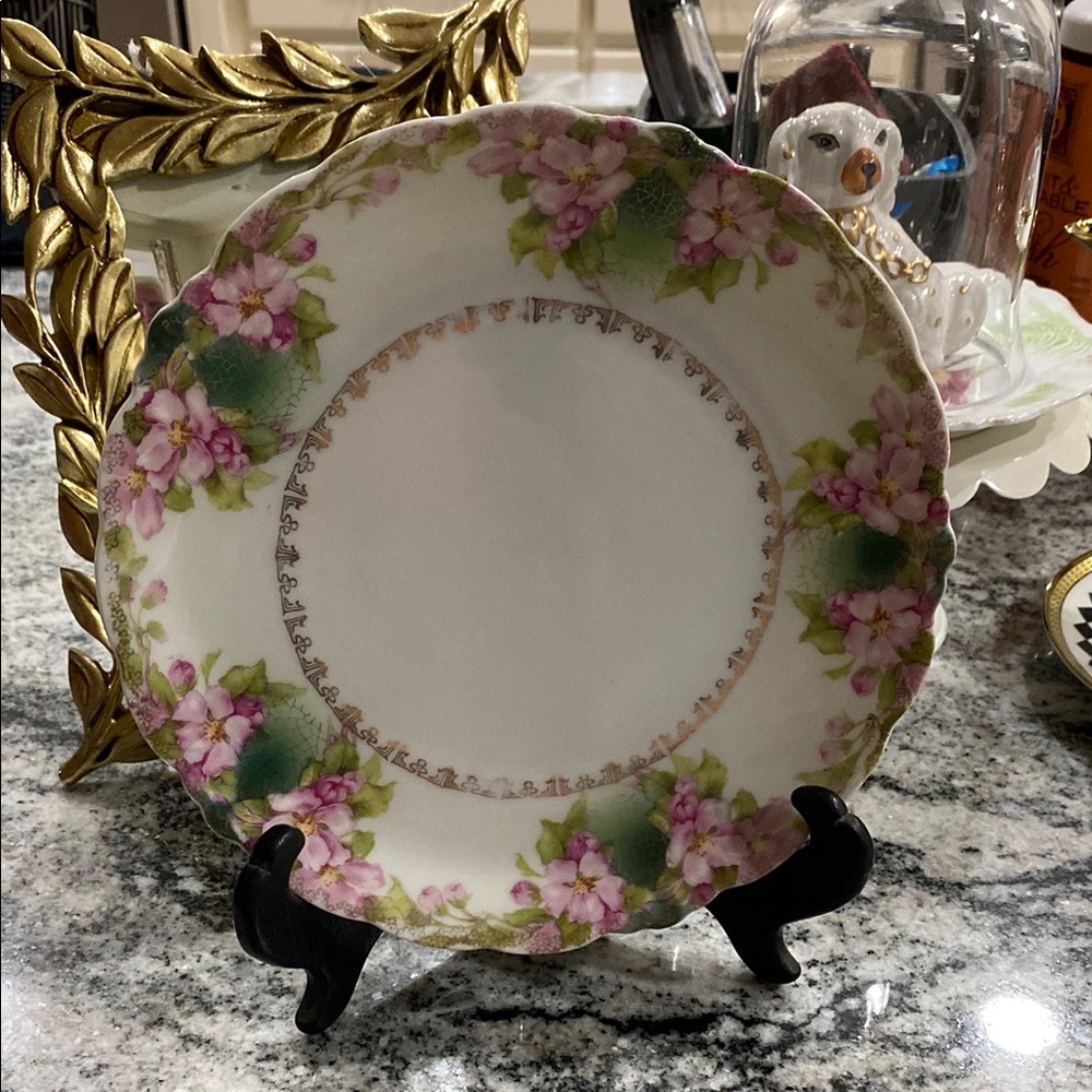 GORGEOUS Antique Jaeger & Co. Porcelain Floral Plate!